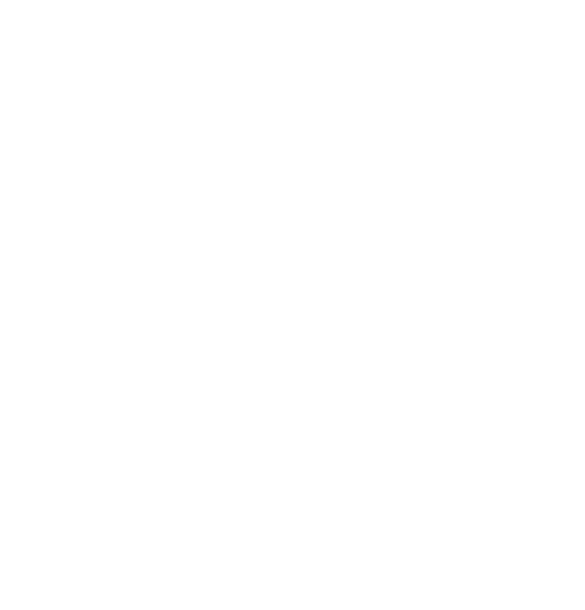 disability access